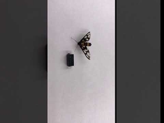 47R SM3816 1W Résistance à fusible thermique à montage en surface