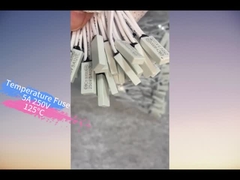 Pot de café, petit morceau 5A 250V 120°C de protection de la température d'appareils