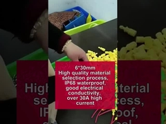 Support de boîte de fusible de faisceau de fil jaune étanche 30A 250V 5*20mm 6*30mm Tube en céramique de verre