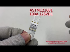 Fuseaux de véhicule en céramique 100A 125VDC 20KA Capacité de rupture Fuse