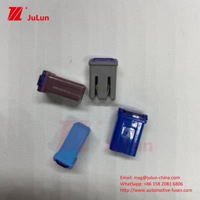 Mini JCASE J J-Shell type M Détecteur automatique 20A 30A 40A 50A 60A 70A 80A 100A