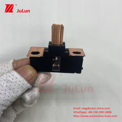 Électricité Systèmes électriques Fuses automobiles Pièces détachées 3821-TAB-A01 Fuses moteur
