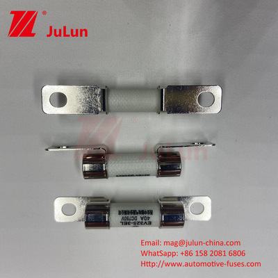 Protection du véhicule électrique EV Conversion de puissance du fusible 15A 30A 25A 750VDC 10x38 EV FUSE