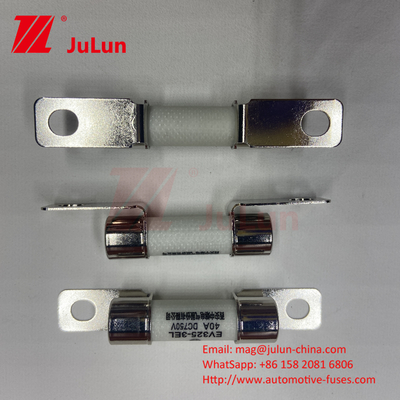 DC750V 10A-100A Fuseau électrique boîtier pour système de traction de véhicule électrique 25A 30A 50A Fuseau électrique