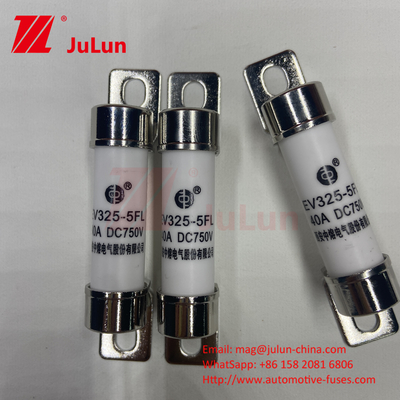 Chargeur de batterie automobile pour véhicules électriques Conversion de puissance certifiée ISO 15A 30A 25A 750VDC 14x51 50A FUSE EV