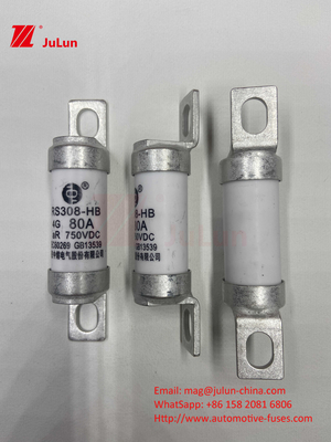 Fuseau de véhicule électrique pour véhicule électrique pour DC750V Fuseau DC750V 10A 15A 20A 25A 30A Pour application automobile RS308
