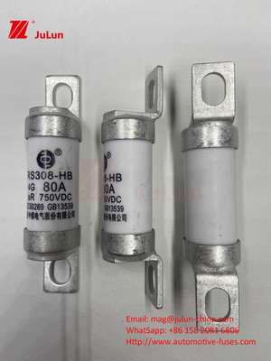 Fuseau EV 100A Caractéristiques Construction boulonnée Spécifiquement 750VDC 10A 25A 50A 63A