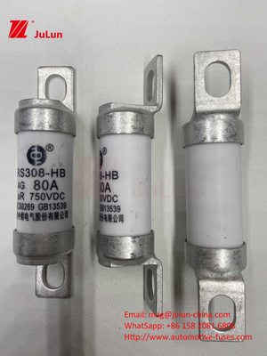 Fuseau de véhicule électrique RS308 DC750V 10A 15A 20A avec une excellente résistance aux vibrations 63A