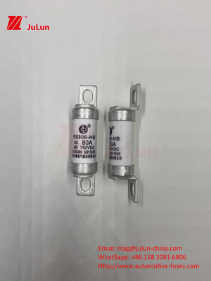 EV RS308 Fuseur de choc mécanique 25A 30A 40A 50A Céramique de cuivre Voltage nominal DC750V Chargeur Ev à domicile pour voiture électrique