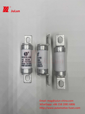 Fuseau de véhicule électrique pour le système de traction et le stockage de l'énergie Olted 750VDC 25A 30A 40A 50A Pour RS308 HB EV