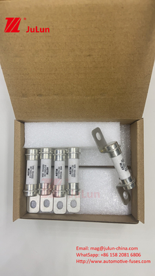 Fuseau de distribution d'énergie de type boulonnage M6 pour les performances de fiabilité du fusible 40A 50A du stockage d'énergie de la batterie S