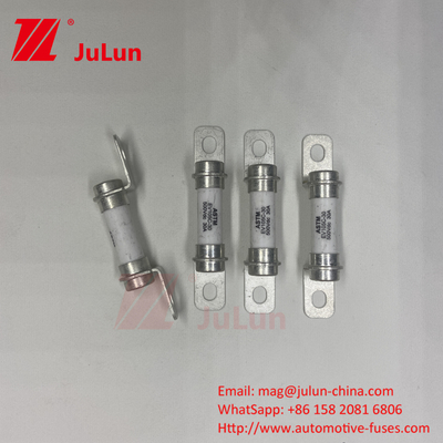 Fuseau de distribution d'énergie de type boulonnage M6 pour les performances de fiabilité du fusible 40A 50A du stockage d'énergie de la batterie S