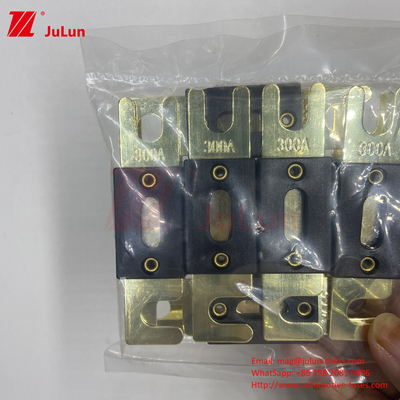 2Fork Bolt AGU Fuse 200A/ANL Fork Bolt Fuse Plaque Fuse Fuse automobile 500A