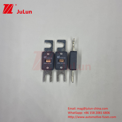 Év320-5X-80A 70VDC Fuseau céramique noir pour véhicules électriques pour les applications automobiles