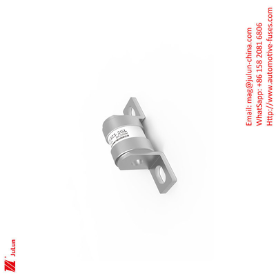 Fuseau à énergie EV323-2GL/ 16A-20A-40A-50A-180A / 250V 30KA Fuseau pour véhicule électrique