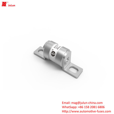 Fuseau électrique pour véhicule à énergie nouvelle 16A 20A 25A 32A 35A 40A 50A 63A 180A 250V 30KA Logo OEM