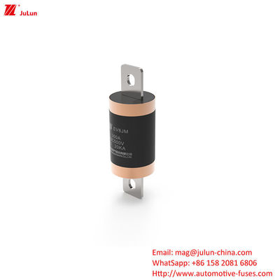 Fuses électriques de tension 150A à 300A pour la protection des véhicules électriques