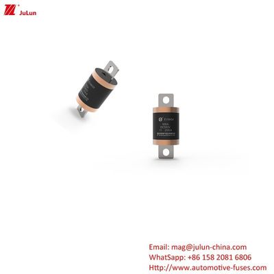 SINOFUSE Chargeur de batterie automobile solution ultime pour les fusibles