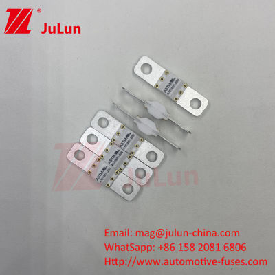 Pour les véhicules électriques, fusible automobile ASTM FUSE 300A 125VDC