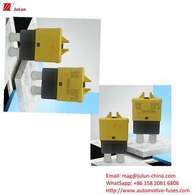 ANS MIDI MIDI porte fusible boulon Le boulon réinitialise automatiquement le disjoncteur pour les porte fusibles automobiles avec 30A à