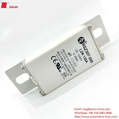 100A Bolt On Ev Dc chargeur rapide / chargeur rapide de véhicule électrique RSZ307-000-L2N fusible