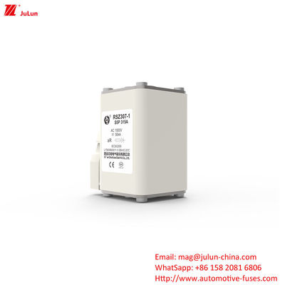 Protection du système d'alimentation électrique 160A-550A Adaptateur de chargeur AC EV Compatible Boulure sur fusibles