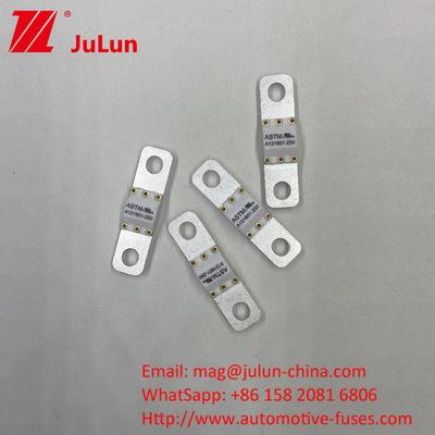 125 VDC chargeur de batterie automobile fusible A121601-300A stockage d'énergie de la batterie moto