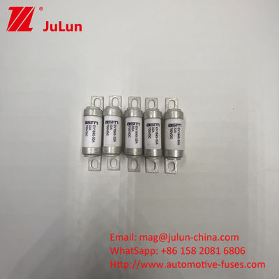 Chargeur de véhicule électrique à fusible à boulons moyens ASTM EV1845 40A avec monture à vis M8