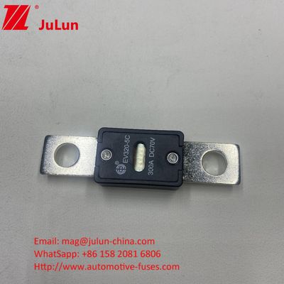 EV320-5C 175A 70VDC SINOFUSE Fuseaux automobiles en céramique Petite taille Courant nominal élevé Voltage nominal 70VDC