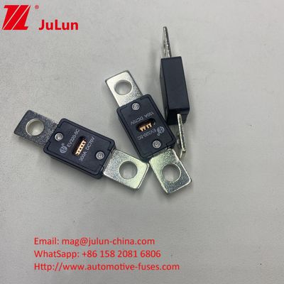 Fuseaux à lame automobile EV320-3X-150A 70VDC Boulon M8 Mode d'installation Pour automobile automobile