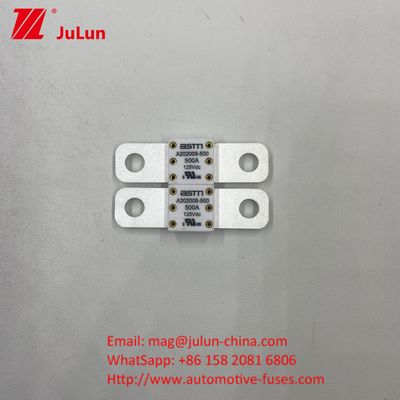 Les disjoncteurs automobiles A202008 100A 100VDC EV FUSE ASTM