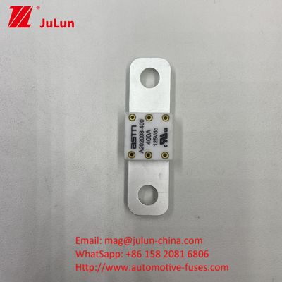 ASTM Fuseau de véhicule électrique A202008 300A Fuseau 125VDC Type de borne Adaptateur de chargeur AC Ev Compatible avec une capacité de rupture de 20KA