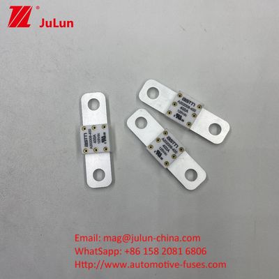 100 A 125 V DC Fuseau de batterie de voiture Fournir une protection fiable et efficace