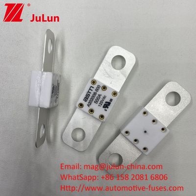 A202008 professionnel 300A 125VDC chargeur de batterie automobile lourd Fuseau 100A 150A 200A 250A 300A 350A 400A 500A 20KA Capacité de rupture