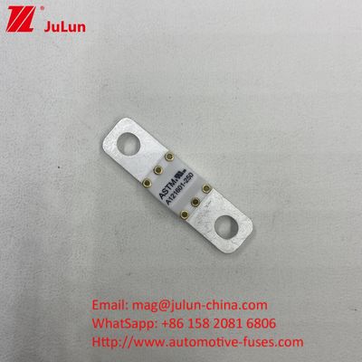 Protection contre les courts-circuits 80A 125VDC Fuses automobiles en céramique à haute capacité de rupture 8KA 6KA 3KA 50A 60A 80A 100A 150A 200A 250A 300A 350A