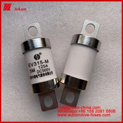 EV315-M 5M 125A HS 500VDC Camion lourd Tubulaire Véhicule électrique Fuse constant de cuivre avec catégorie d'utilisation EV