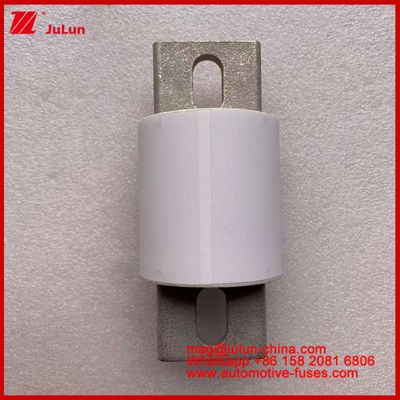 Systèmes de propulsion électrique Fuses automobiles céramiques RS309-MD 600A 500VAC 200KA 500VDC 50KA AR Véhicules électriques tubulaires 30-800A