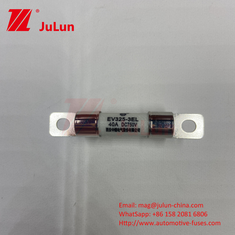 Protection du véhicule électrique EV Conversion de puissance du fusible 15A 30A 25A 750VDC 10x38 EV FUSE
