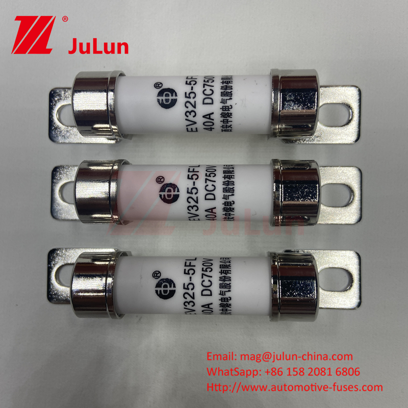 Chargeur de batterie automobile pour véhicules électriques Conversion de puissance certifiée ISO 15A 30A 25A 750VDC 14x51 50A FUSE EV