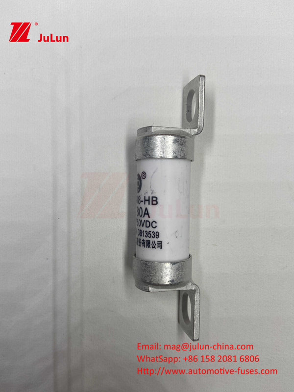 63A RS308 HB Fuseur à boulonnage 80A 10A 15A 40A Fuses céramiques automobiles avec boulonnage