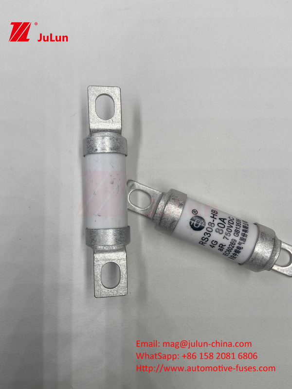 Fuses automobiles en céramique à 750 VDC 14. Tubes en céramique 20x46 mm 15A 40A 50A RS308 HB G FUSE 750 VDC EV325 100A