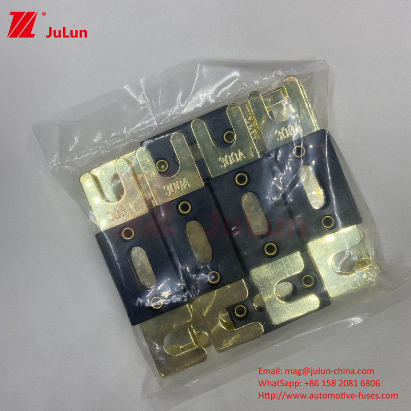 2Fork Bolt AGU Fuse 200A/ANL Fork Bolt Fuse Plaque Fuse Fuse automobile 500A