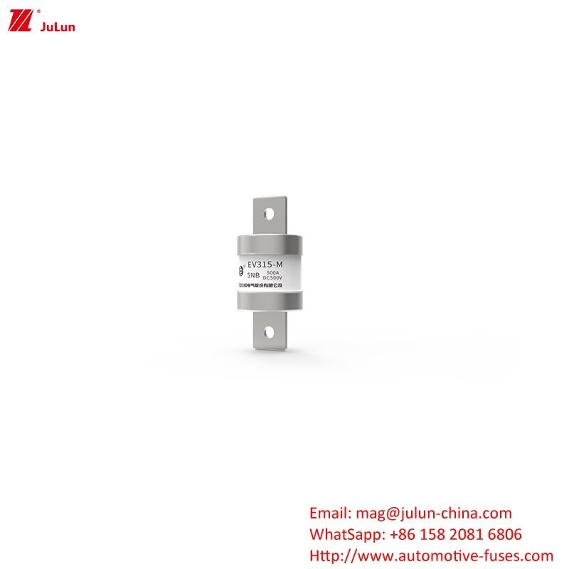 Adaptateur de chargeur de véhicule électrique compatible avec le fusible DC500V à tube rond