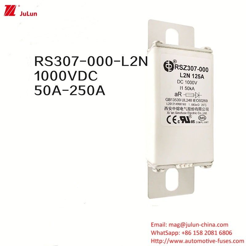 100A Bolt On Ev Dc chargeur rapide / chargeur rapide de véhicule électrique RSZ307-000-L2N fusible