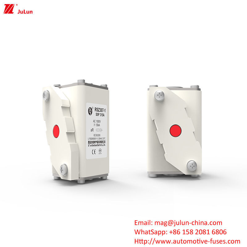 Protection du système d'alimentation électrique 160A-550A Adaptateur de chargeur AC EV Compatible Boulure sur fusibles