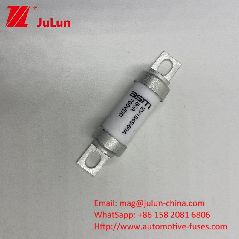 ASTM EV1845 150A sortie fusible de véhicule électrique 10kA capacité de rupture vis M8 M6 montage