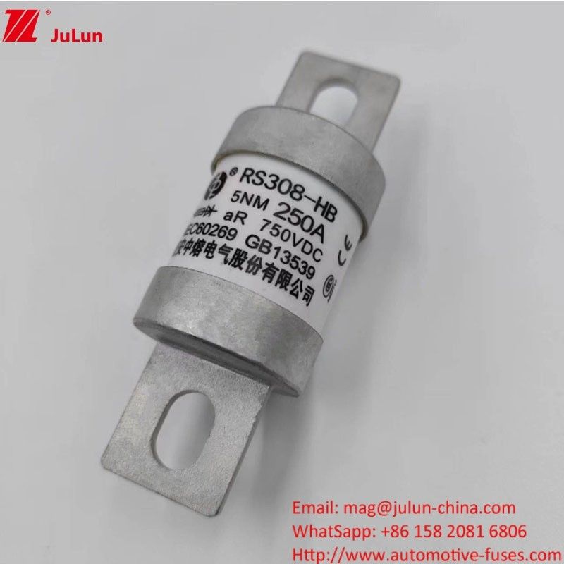 200A 250A 300A -400A Bourrage de fusible pour véhicule électrique M8 M6 Méthode de montage Terminal Type 750VDC Fuseau à énergie