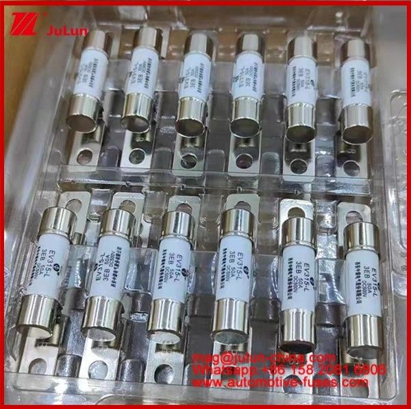 EV315-L 3EB 30A Fuse 10A 15A 20A 25A 30A 40A 50A DC500V Chargeur électrique pour voiture électrique