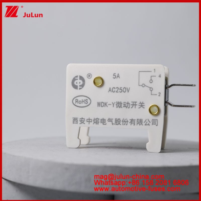 WDK-Y 5A 250V Micro Switch Fuseau monté sur l'automobile pour véhicule EV / HEV Base spécialement conçue de fusible pour véhicule Situation
