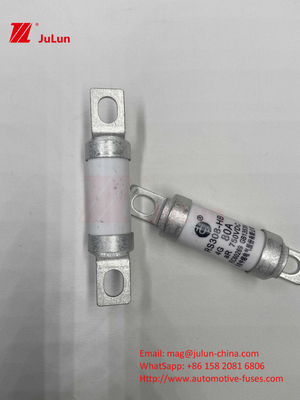 Fuses automobiles en céramique à 750 VDC 14. Tubes en céramique 20x46 mm 15A 40A 50A RS308 HB G FUSE 750 VDC EV325 100A